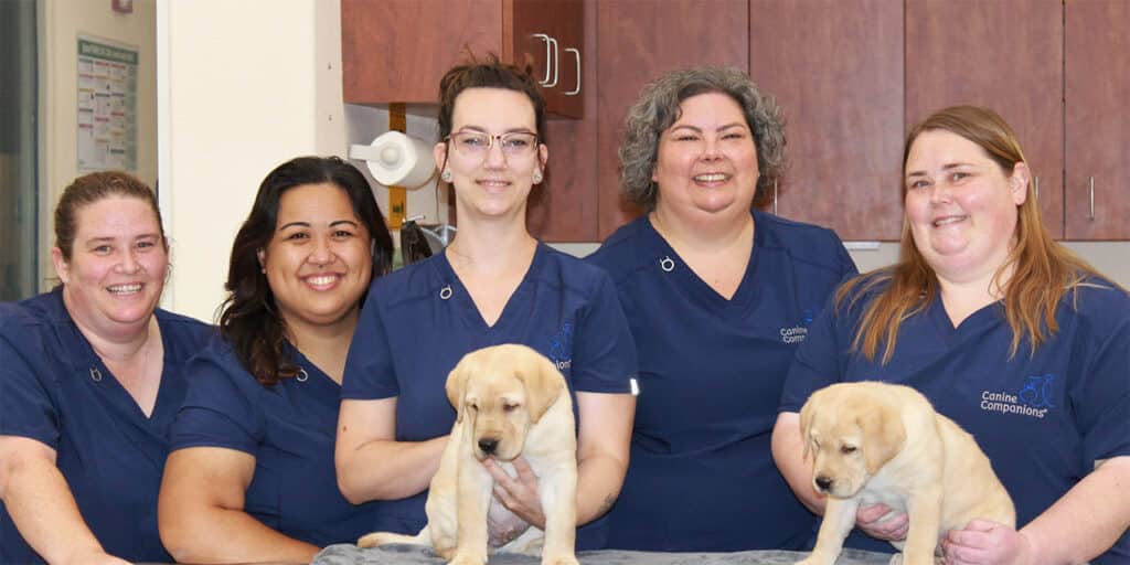 Five women wearing blue scrubs stand in a veterinary clinic, with two of them holding yellow Labrador puppies.