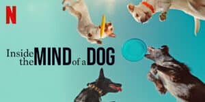 Advertisement for "Inside the Mind of a Dog" with dogs playing and catching frisbees against a blue sky background.