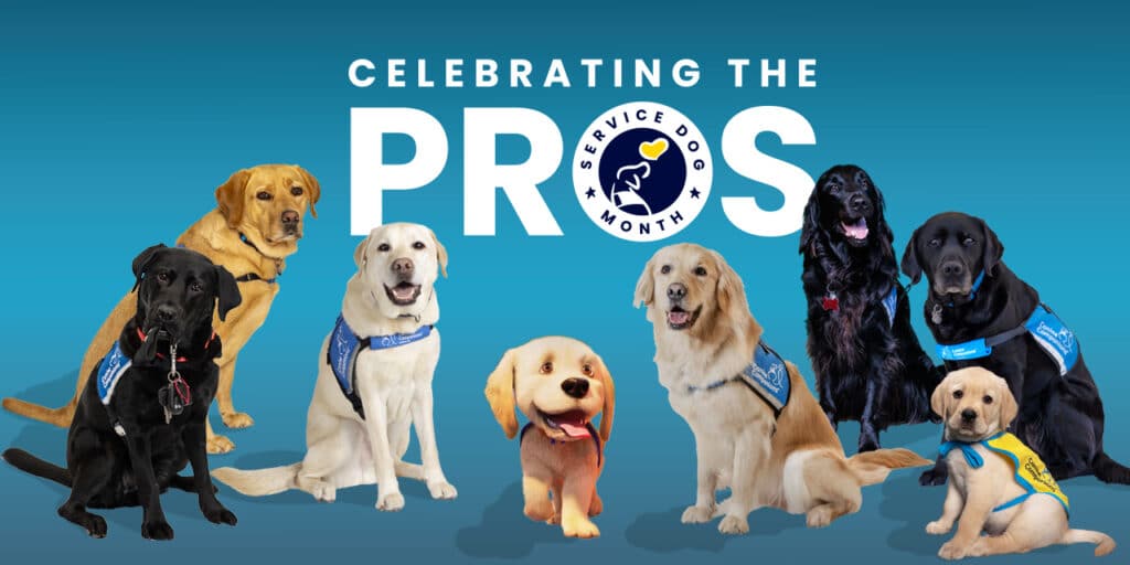 Celebrating the Pros: Service Dog Month, group of service dogs in blue vests.