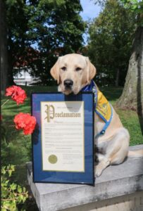 A labrador retriever wearing a blue and yellow scarf sits outdoors on a stone ledge, holding a framed proclamation document. Flowers and trees are in the background.