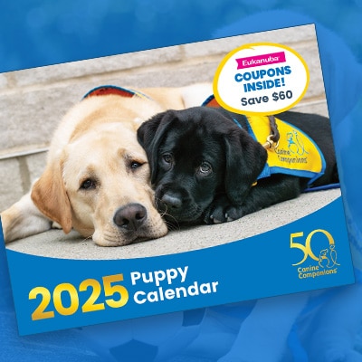 2025 Puppy Calendar featuring a Labrador retriever and a black Labrador puppy lying down, with a "Coupons Inside! Save $60" label and a "Canine Companions" 50th anniversary logo.