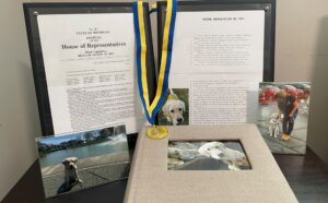 Display of a framed House of Representatives document, a medal with blue and yellow ribbon, and several photos of a Labrador Retriever and a person.