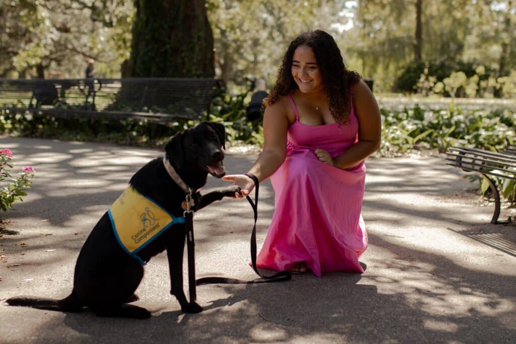 A woman in a pink dress offers her hand to a black dog wearing a yellow vest.