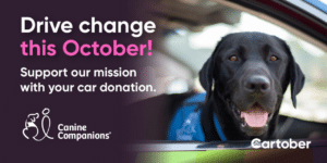 Black dog wearing a blue vest sitting in a car with text promoting car donations for Canine Companions.