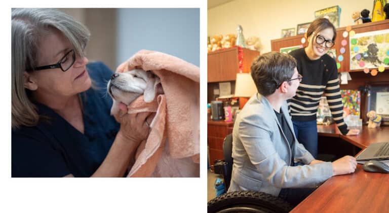 Image 1: A woman drying a dog's head with a towel. Image 2: Two people smiling at each other in an office setting, one is seated and using a laptop.