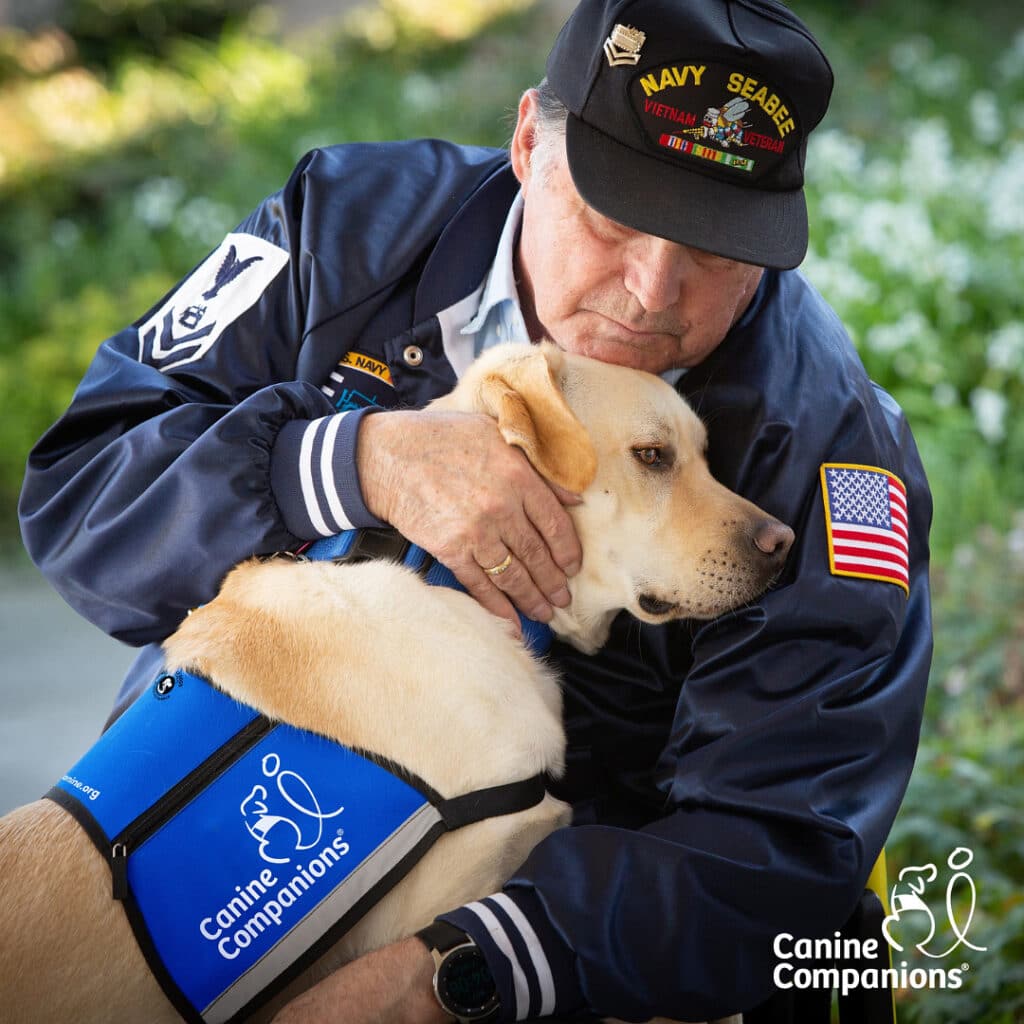 A person wearing a Navy Seabees Vietnam veteran cap and jacket embraces a yellow Labrador wearing a blue "Canine Companions" vest.