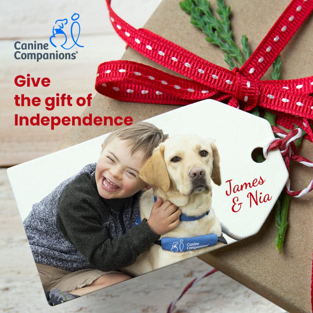 A gift tag featuring a boy hugging a dog, with text "James & Nia" and "Give the gift of Independence," next to a wrapped gift with red ribbon.