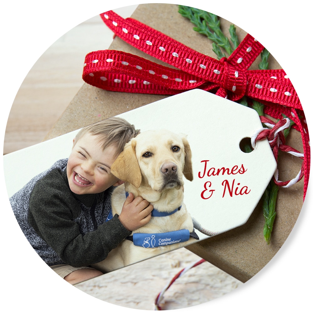 Boy hugging a dog with a "Canine Companions" harness, beside a gift tag reading "James & Nia" and a red ribbon.