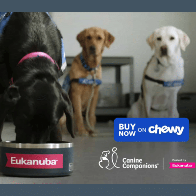 Black dog eating from an Eukanuba bowl, with two other dogs wearing blue vests in the background, and "Buy Now on Chewy" text.