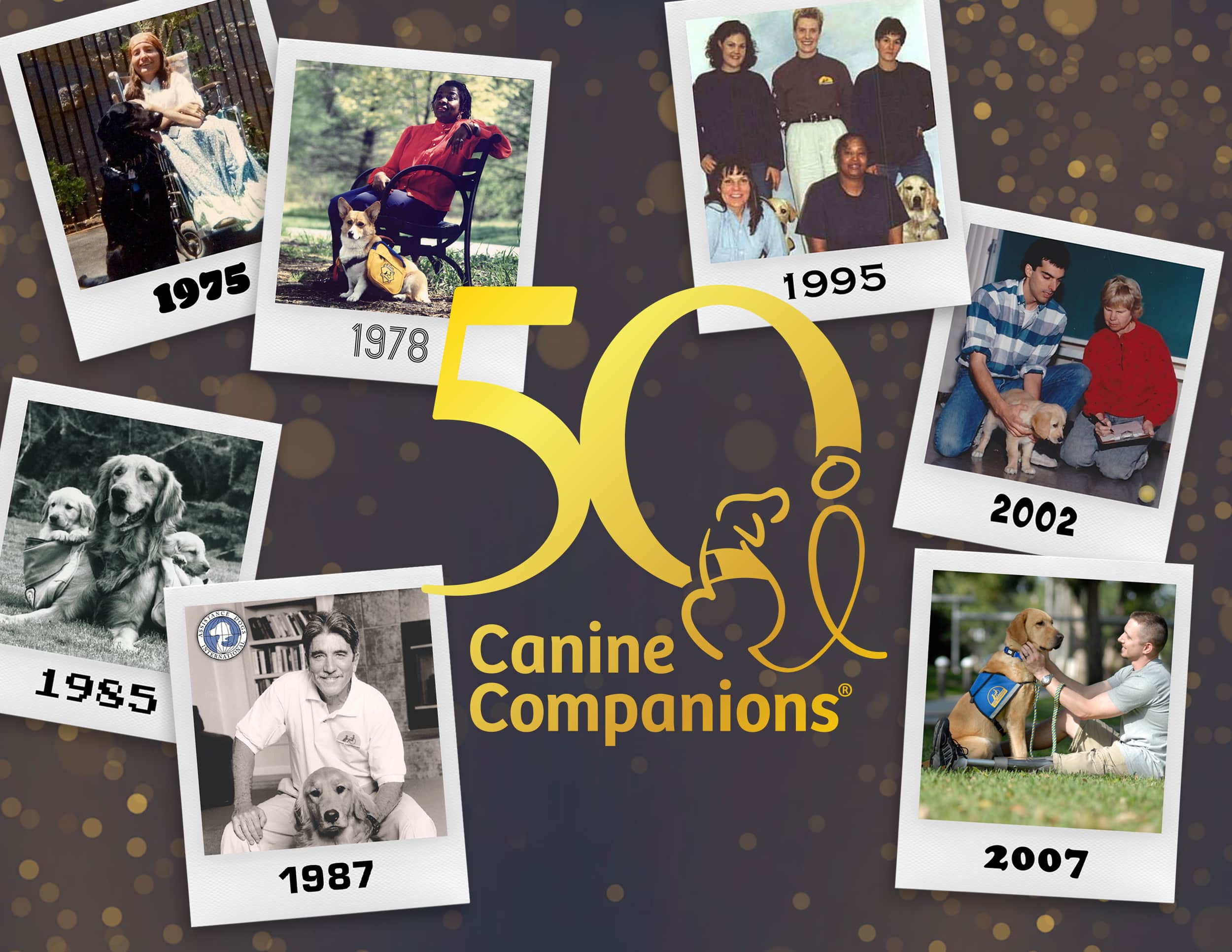 Collage of Canine Companions milestone photos from 1975, 1978, 1985, 1987, 1995, 2002, and 2007 with a "50 Canine Companions" logo.