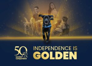 A black dog wearing a service vest runs towards the viewer, with images of people and service dogs in the background. Text reads "50 Canine Companions" and "Independence is Golden."