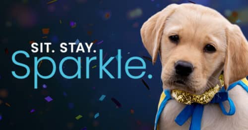 Light-colored puppy wearing a gold sparkle collar and blue ribbon bow against a confetti background with the text SIT. STAY. Sparkle.