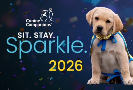 Yellow lab pup with blue ribbon and gold bow beside the text "SIT. STAY. Sparkle. 2026" and Canine Companions logo amid confetti.