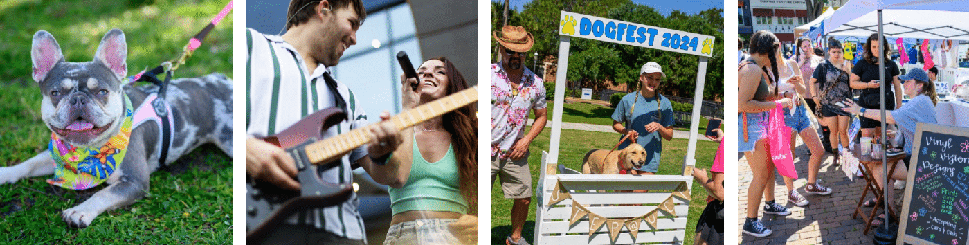 A collage featuring a French Bulldog laying on grass, a band performing with a guitarist and a singer, a "Dogfest 2024" sign with people and a Labrador, and a market stall with people browsing.