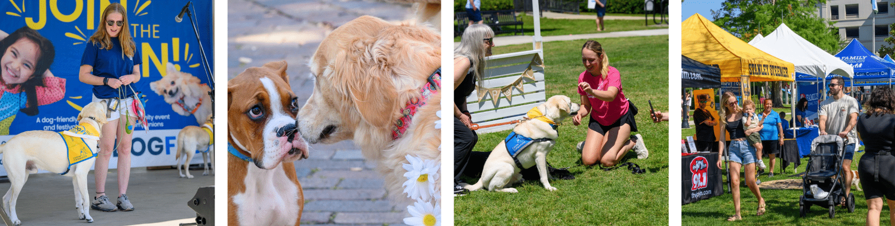 People with dogs enjoying a dog-friendly outdoor event with various activities and stalls.