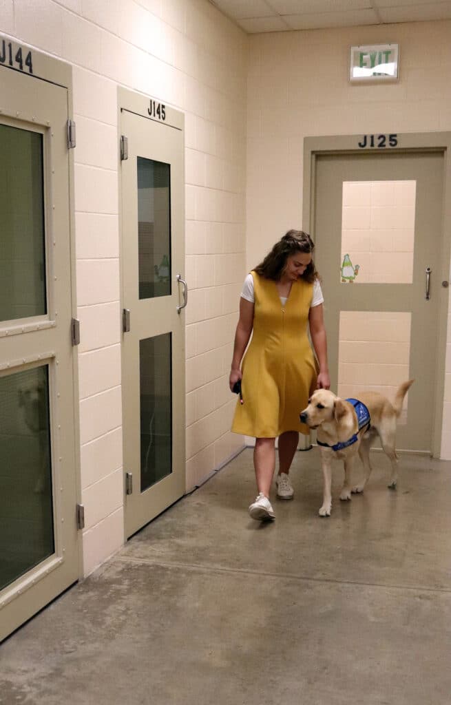 A woman in a yellow dress walks with a guide dog in a hallway with labeled doors.