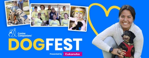 DogFest banner showing smiling woman with small black dog and a volunteer/photo collage on blue background with yellow heart.