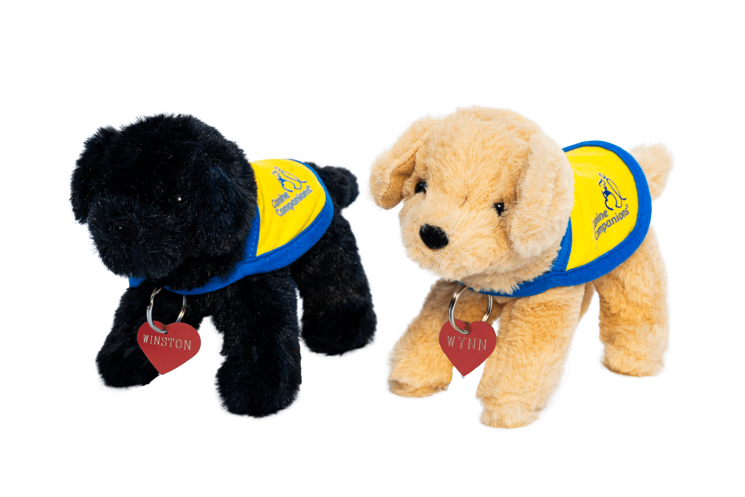 Two plush toy dogs side by side, one black and one golden, each wearing a blue and yellow vest with "Canine Companions" written on it. The black dog has a red heart-shaped tag labeled "Winston," and the golden dog has a similar tag labeled "Wynn."