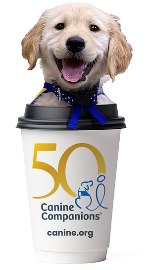 A golden retriever puppy's head is emerging from a large coffee cup, featuring the text "50 Canine Companions" and a colorful logo on the cup.