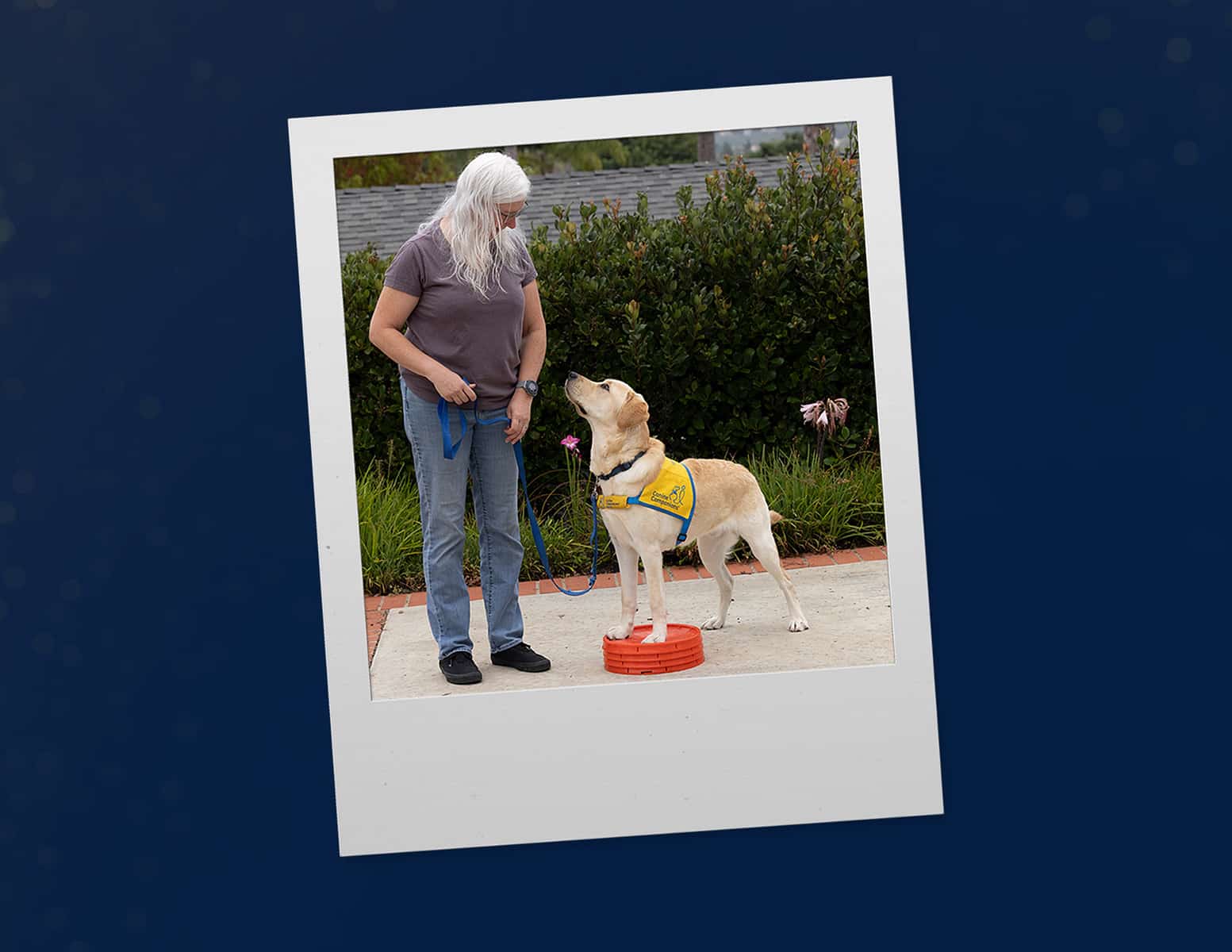 A person with long gray hair is standing beside a light-colored dog on a circular red platform. The dog is wearing a harness with a logo, and both the person and dog are looking at each other in a training setting outdoors.