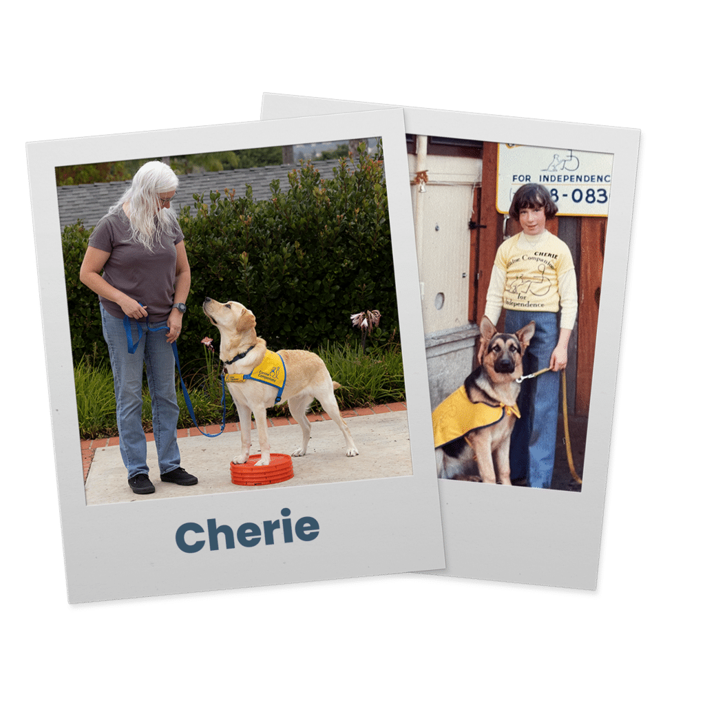 A split-image showing two photographs: on the left, a person with long gray hair stands next to a yellow Labrador retriever wearing a service vest, outdoors with greenery in the background. On the right, a younger person wearing a yellow shirt poses with a German shepherd, both wearing service vests, in front of a building with signage. The word "Cherie" is prominently displayed below the left image.