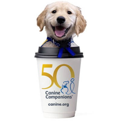 A happy golden retriever puppy with a blue collar sits inside a coffee cup featuring the logo for Canine Companions, celebrating 50 years.