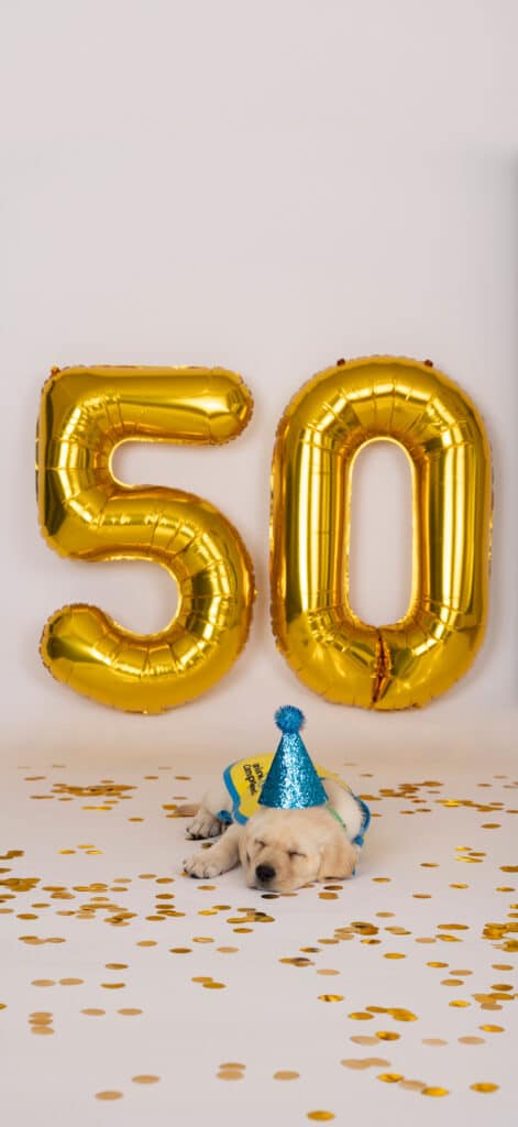 A sleeping yellow Labrador puppy wearing a blue party hat and a yellow and blue cape is surrounded by golden confetti, with large shiny gold number balloons reading '50' in the background.