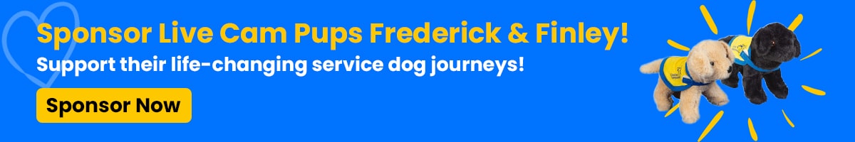 Banner promoting the sponsorship of service dog puppies Frederick and Finley, featuring text on a bright blue background and images of the two puppies in service vests.