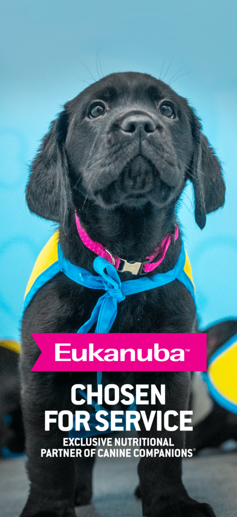 A close-up of a black puppy wearing a blue harness and a yellow vest, looking upward with a serious expression, set against a soft blue background. Text overlay reads "Eukanuba CHOSEN FOR SERVICE EXCLUSIVE NUTRITIONAL PARTNER OF CANINE COMPANIONS."