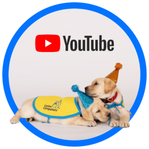 Two puppies wearing colorful party hats, one with a blue pom-pom and the other with an orange pom-pom, laying together on a light background. One puppy is wearing a yellow vest with the text "Canine Companions". The YouTube logo is overhead.