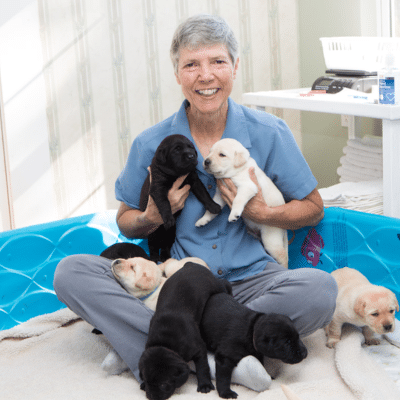 A smiling person wearing a blue scrub shirt is sitting on a soft blanket surrounded by several playful puppies of various colors, including black and yellow, in a blue playpen.