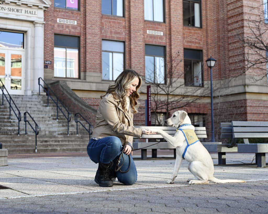 A woman kneels and pets a sitting white dog wearing a blue harness, outside near a brick building with stairs in the background, demonstrating a training exercise.
