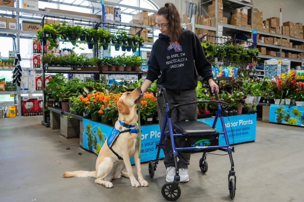 A woman with glasses, wearing a black hoodie with colorful text, stands in a plant store beside a yellow Labrador retriever. She holds a walker with one hand while petting the dog's head with the other. The background features shelves filled with various plants and flowers.