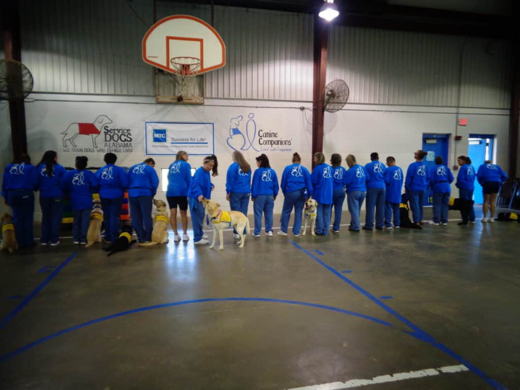 A line of people wearing blue sweatshirts, standing with several service dogs in a gymnasium. The backdrop features signs for Service Dogs Alabama and Canine Companions, with a basketball hoop overhead and training equipment visible on the floor.
