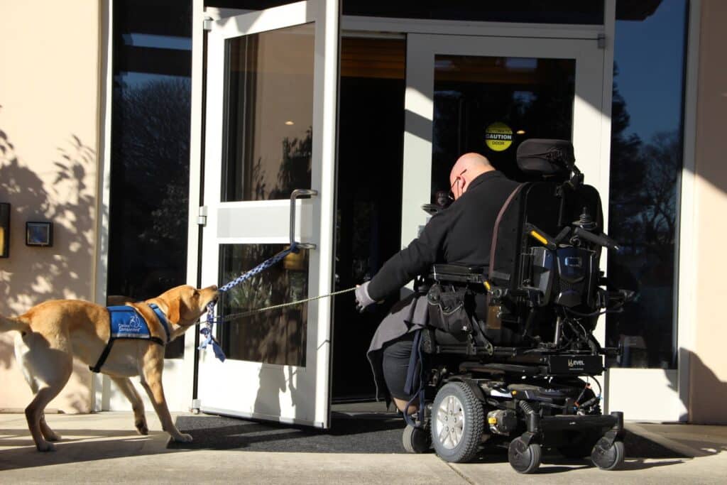 A service dog pulling open an automatic door while assisting a person in a powered wheelchair, with the dog wearing a harness labeled 'Canine Companions.' The setting is sunny and the entrance is prominently displayed.