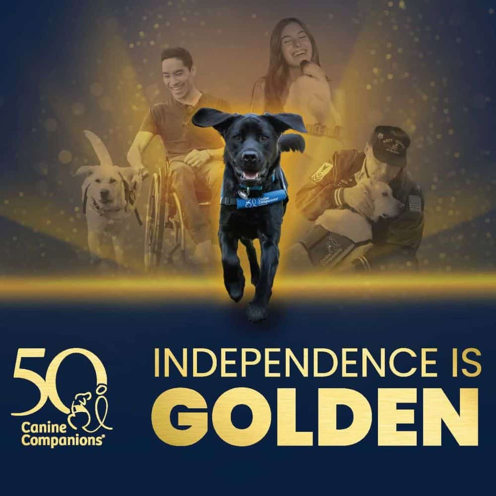 A black dog wearing a service vest runs happily in the foreground, with images of people interacting with dogs and the text 'INDEPENDENCE IS GOLDEN' prominently displayed. The background features a blue gradient with golden accents, celebrating the 50th anniversary of Canine Companions.