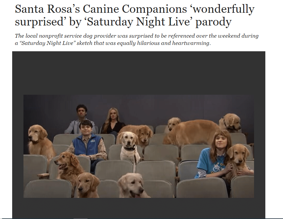 A scene from a 'Saturday Night Live' sketch featuring several people seated in a theater alongside multiple golden retrievers, with expressions of humor and affection displayed. The background shows a dark theater setting.