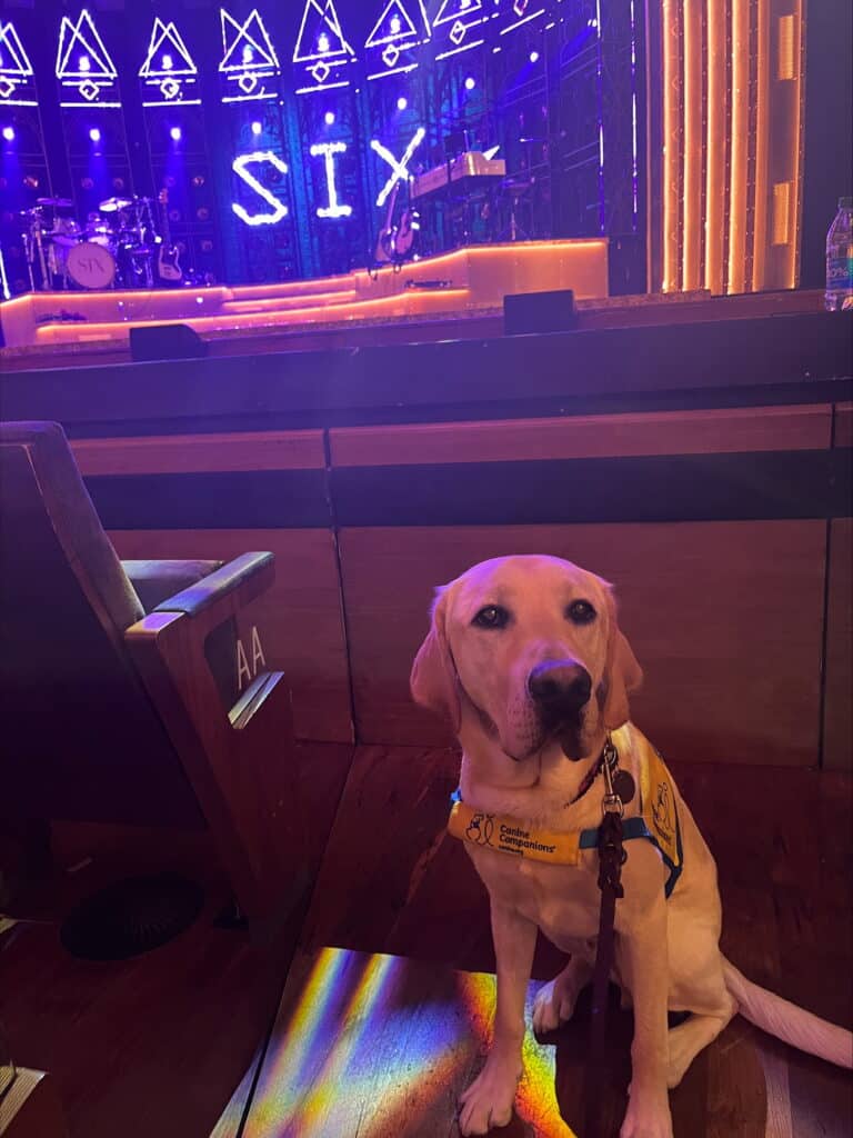 A yellow Labrador retriever wearing a blue and yellow vest sits in front of a stage marked with the word 'SIX,' illuminated by colorful stage lights, with musical instruments visible in the background and theater seating nearby.