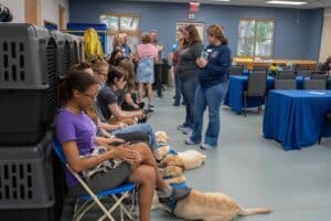 A group of people sitting and standing in a room with blue walls and tables, some are interacting while others sit with yellow lab puppies at their feet, and various black pet carriers are piled in the background.