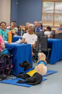 A room filled with seated people at a gathering, where two service dogs, one black and one yellow, are lying on blue mats near a woman in a wheelchair and another woman with gray hair. Tables are covered with blue cloths, and water bottles and decorations are visible.