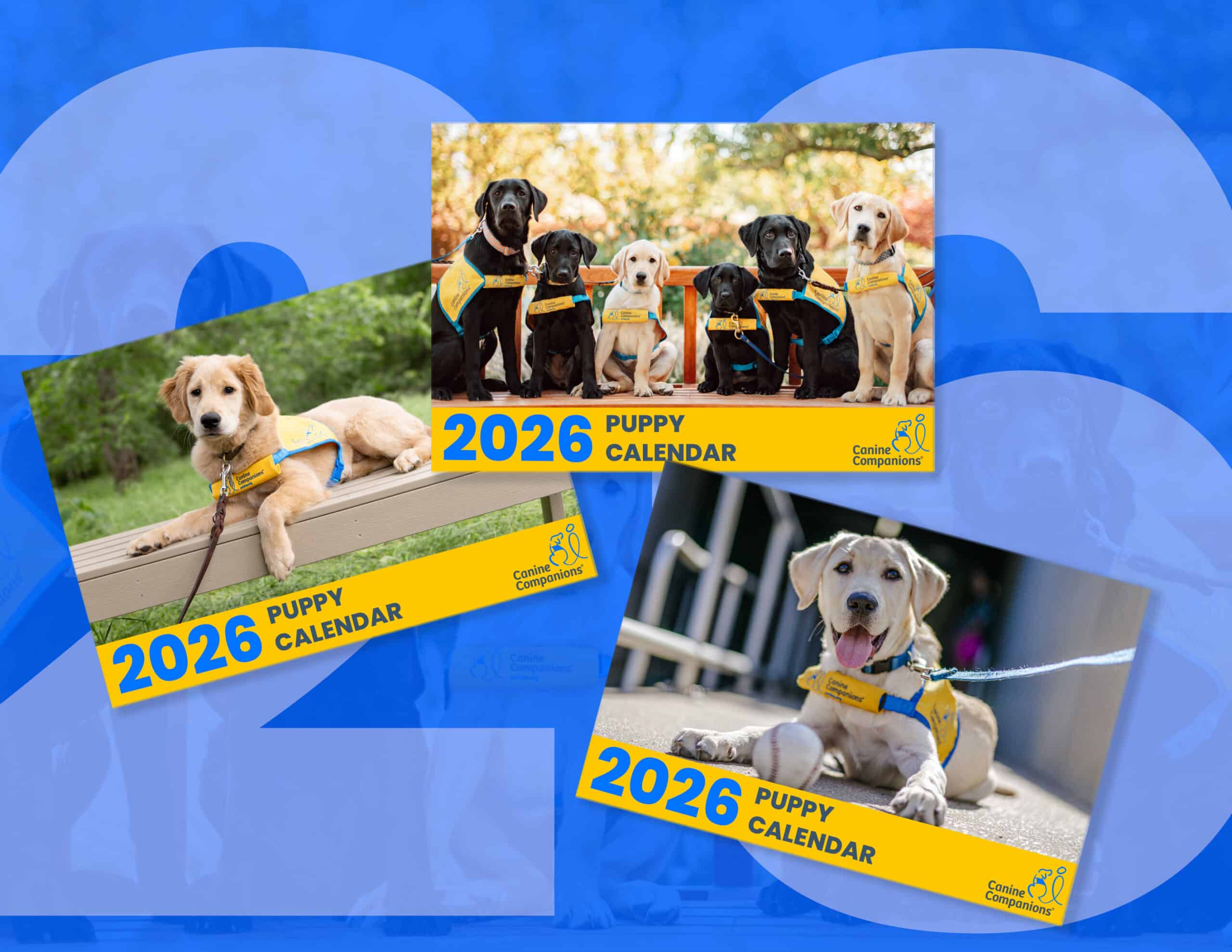 Home Canine Companions CC25 Cal26 Promo Vote Scaled 