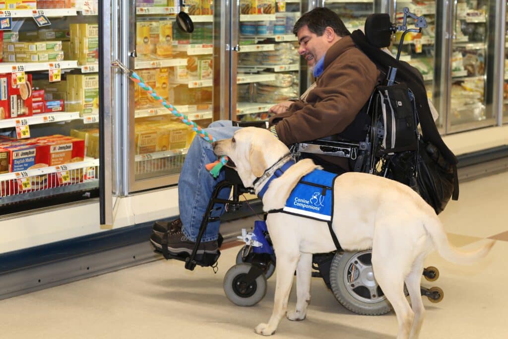A man in a wheelchair is smiling and interacting with a service dog in a grocery store aisle, with frozen food items visible in the background. The dog, wearing a blue vest labeled 'Canine Companions', is holding a toy on a leash attached to the man.