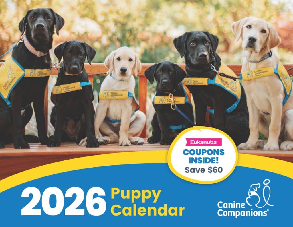 A group of five puppies, wearing blue harnesses with the 'Canine Companions' logo, sit on a wooden bench against a blurred outdoor background. The puppies include three black Labradors, one yellow Labrador, and one cream-colored puppy. The bottom of the image features text promoting a '2026 Puppy Calendar' and savings on Eukanuba products.