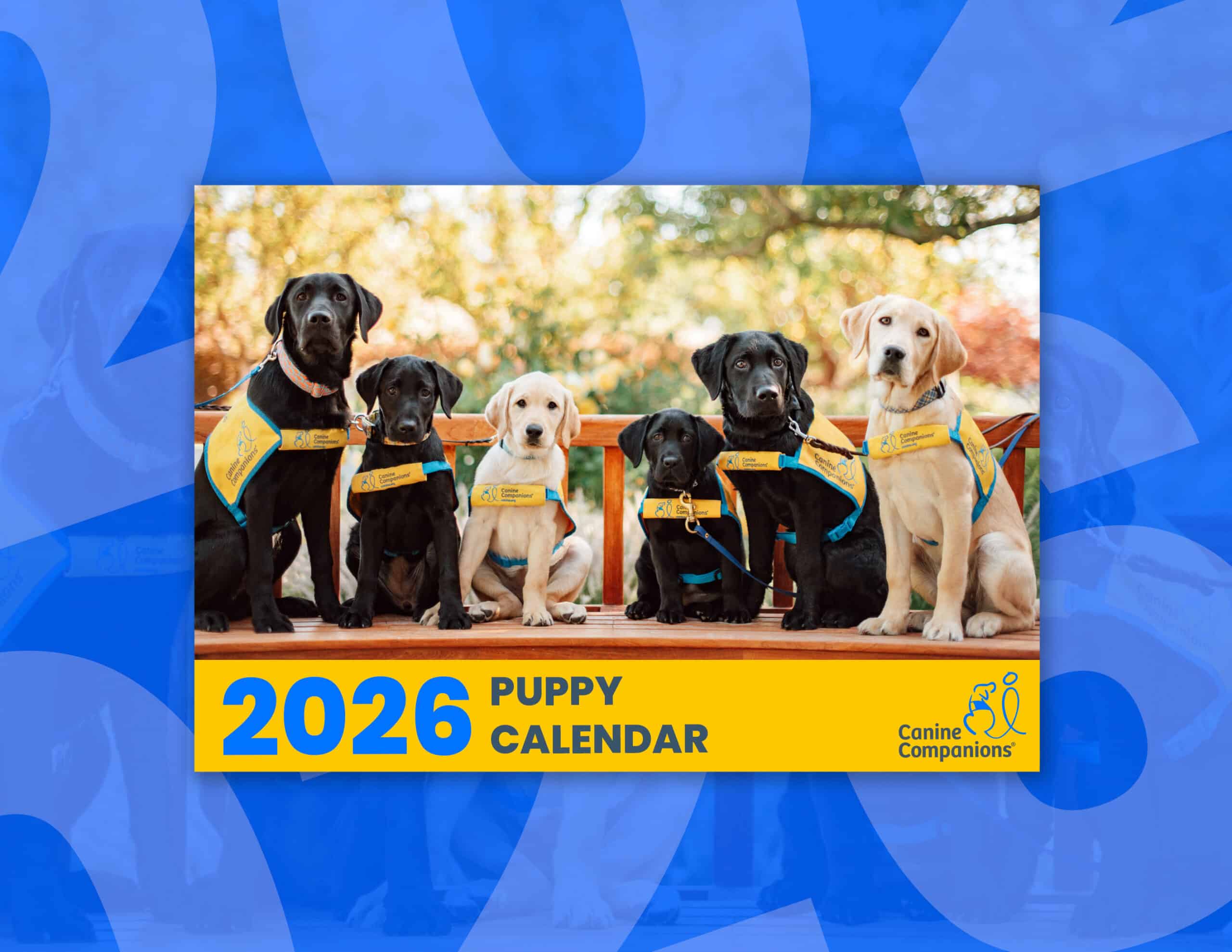 Home Canine Companions CC25 Cal26 Promo Order 1 Scaled 