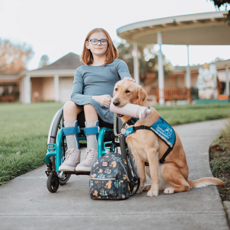 A young girl in a wheelchair wearing a light blue dress sits outdoors, smiling at the camera while petting her golden retriever service dog, which is holding a water bottle. The dog is wearing a blue service vest and a black backpack is positioned next to the girl on the ground, with a grassy area and a building in the background.