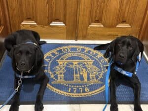 Two black Labrador retrievers with harnesses lying on a blue mat featuring the seal of the State of Georgia, in front of a wooden door.