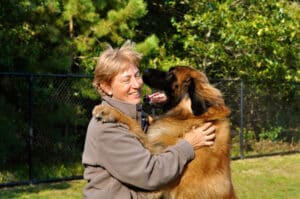 A woman smiles and embraces a large, fluffy dog in a sunny outdoor setting with trees and a fence in the background.