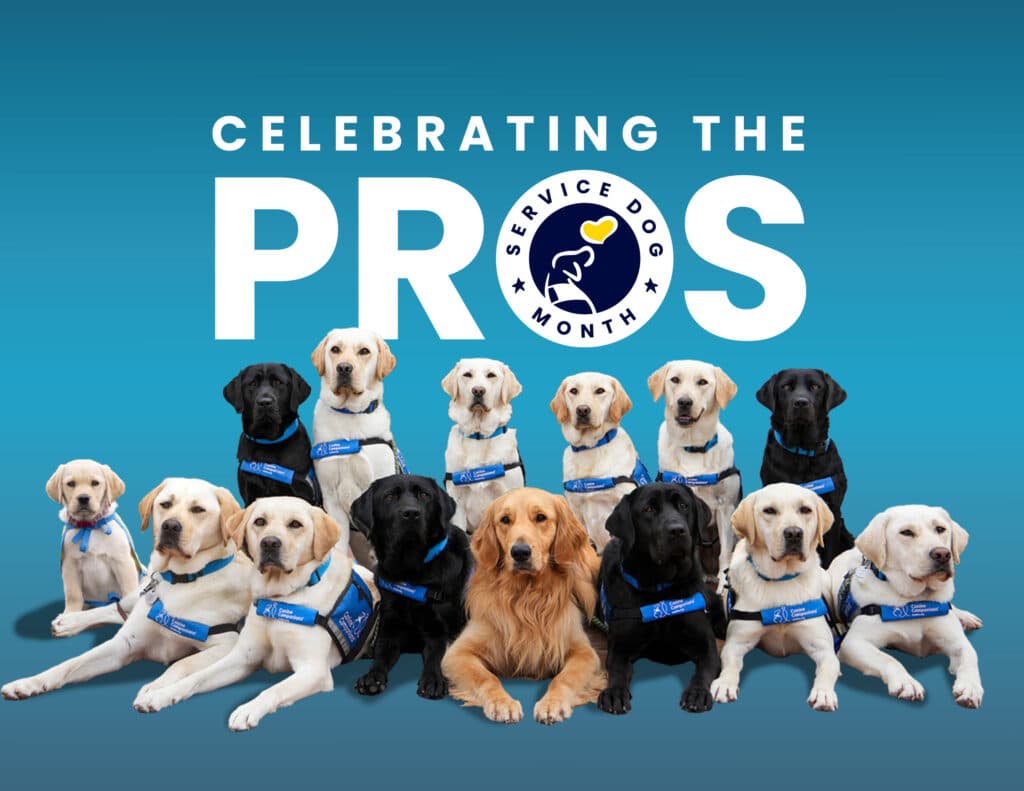 A group of 15 service dogs of various breeds, including Labradors and a Golden Retriever, wearing blue harnesses, positioned in a row against a blue gradient background with the text "CELEBRATING THE PROS" and a logo for "SERVICE DOG MONTH".