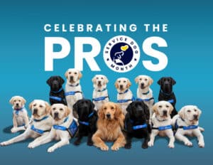A group of 15 service dogs of various breeds, including Labradors and a Golden Retriever, wearing blue harnesses, positioned in a row against a blue gradient background with the text "CELEBRATING THE PROS" and a logo for "SERVICE DOG MONTH".