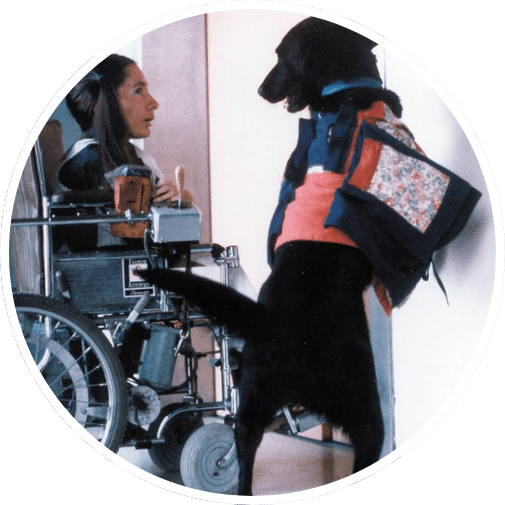 A woman in a wheelchair interacts with a black dog wearing a colorful vest, suggesting a service or therapy role. The setting appears to be indoors, likely in a home or facility.